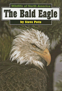 The Bald Eagle