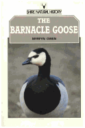 The Barnacle Goose