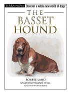The Basset Hound