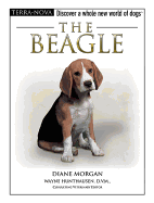 The Beagle