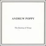 The Beating of Wings
