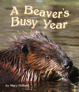 The Beavers' Busy Year