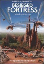 The Besieged Fortress