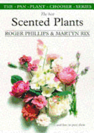 The Best Scented Plants and How to Grow Them
