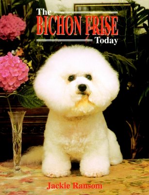 The Bichon Frise Today - Ransom, Jackie