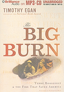 The Big Burn: Teddy Roosevelt & the Fire That Saved America