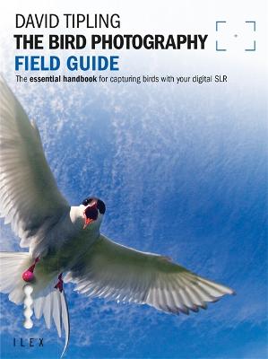 The Bird Photography Field Guide - Tipling, David