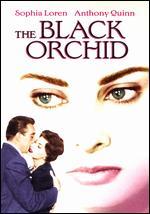 The Black Orchid