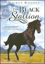 The Black Stallion