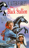 The Black Stallion