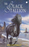 The Black Stallion