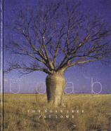 The Boab Tree