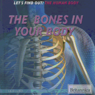 The Bones in Your Body