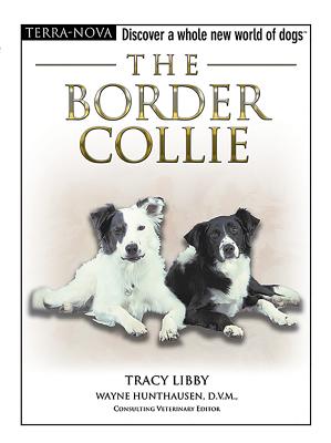 The Border Collie - Libby, Tracy
