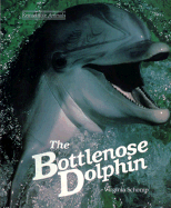 The Bottlenose Dolphin