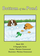 The Bottom of the Pond