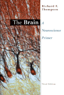 The Brain: A Neuroscience Primer