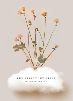 The Bright Invisible - Robins, Michael