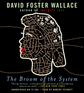 The Broom of the System