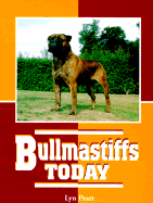 The Bullmastiff Today