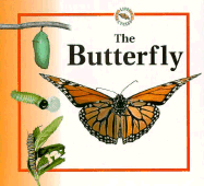 The Butterfly