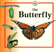 The Butterfly