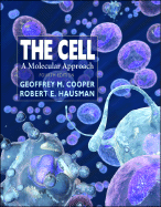 The Cell: A Molecular Approach