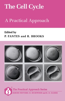 The Cell Cycle: A Practical Approach - Fantes, Peter (Editor), and Brooks, Robert (Editor)