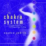 The Chakra System: A Complete Course in Self-Diagnosis