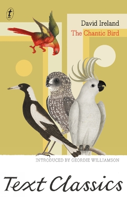 The Chantic Bird - Ireland, David