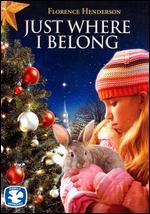 The Christmas Bunny