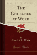 The Churches at Work (Classic Reprint)