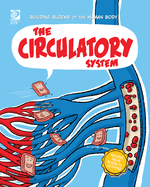 The Circulatory System