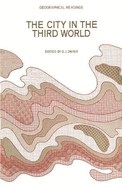 The city in the Third World