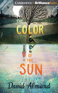 The Color of the Sun