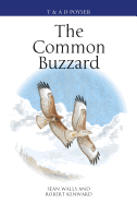 The Common Buzzard