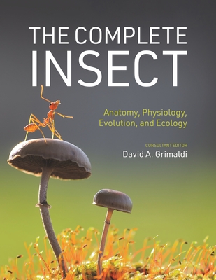 The Complete Insect: Anatomy, Physiology, Evolution, and Ecology - Grimaldi, David A (Editor)