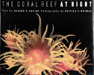 The Coral Reef at Night