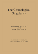 The Cosmological Singularity