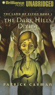 The Dark Hills Divide