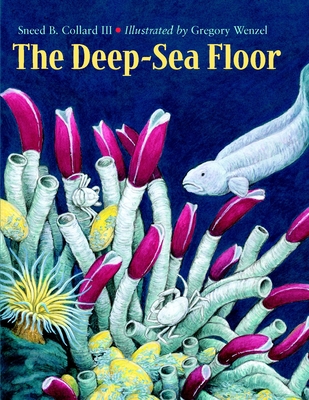 The Deep-Sea Floor - Collard, Sneed B
