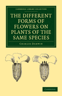 The Different Forms of Flowers on Plants of the Same Species