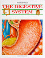 The digestive system