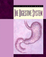 The Digestive System