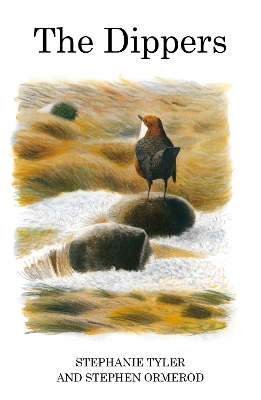 The Dippers - Tyler, Stephanie