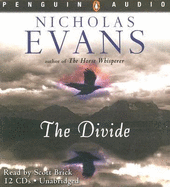 The Divide