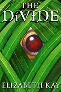 The Divide