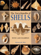 The Encyclopedia of Shells