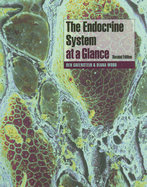 The Endocrine System at a Glance