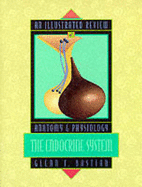 The Endocrine System